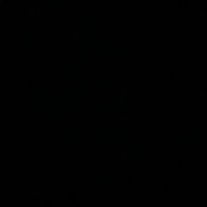 Meet your Posher, Daisy